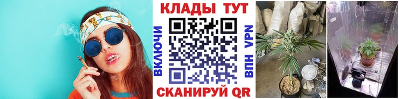 Купить закладку Гашиш  Канабис  A-PVP  Псилоцибиновые грибы  КОКАИН  Меф  Елабуга
