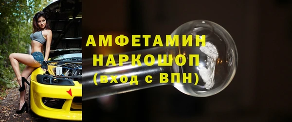 прущие грибы Ладушкин