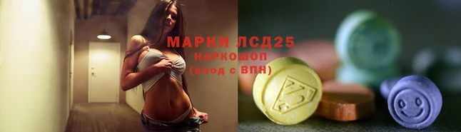 прущие грибы Ладушкин