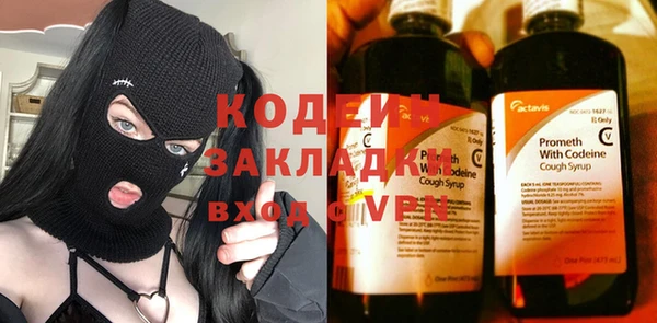 прущие грибы Ладушкин