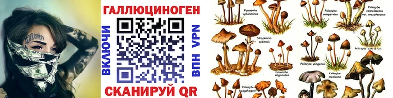 Галлюциногенные грибы Psilocybe  Купить закладки  Елабуга 